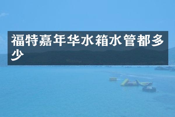 福特嘉年华水箱水管都多少