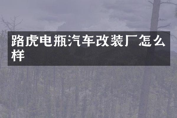 路虎电瓶汽车改装厂怎么样