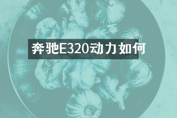 奔驰E320动力如何