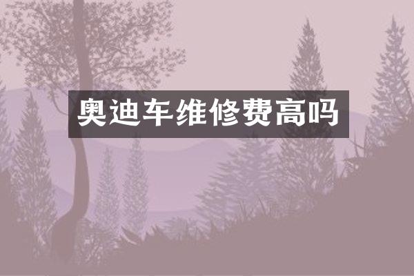 奥迪车维修费高吗