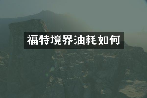 福特境界油耗如何