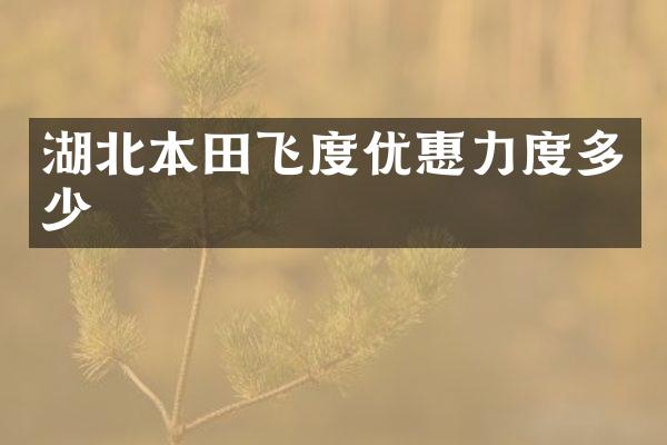 湖北本田飞度优惠力度多少