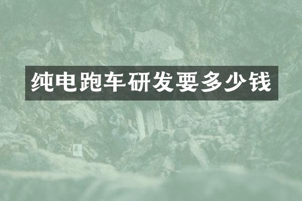 纯电跑车研发要多少钱