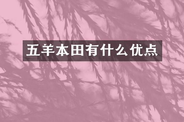 五羊本田有什么优点