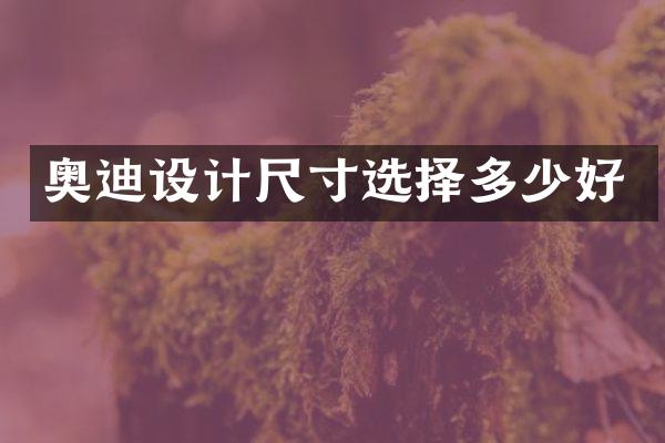 奥迪设计尺寸选择多少好