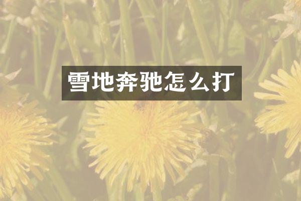 雪地奔驰怎么打