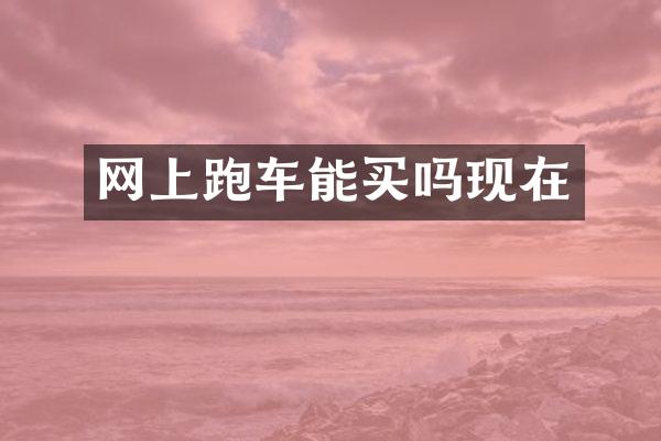 网上跑车能买吗现在