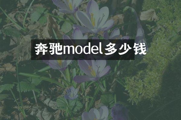 奔驰model多少钱