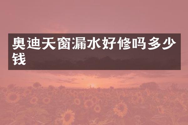 奥迪天窗漏水好修吗多少钱