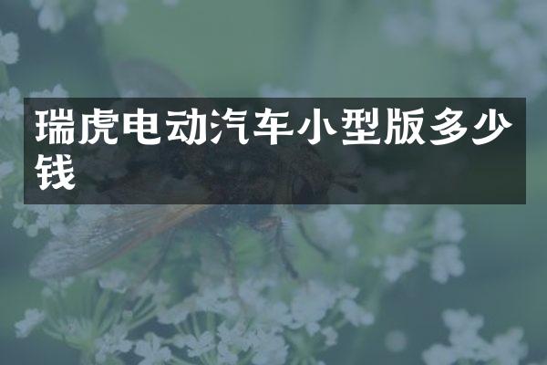 瑞虎电动汽车小型版多少钱