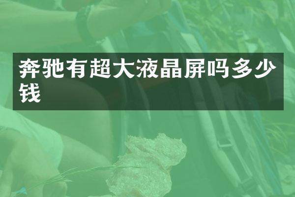 奔驰有超大液晶屏吗多少钱