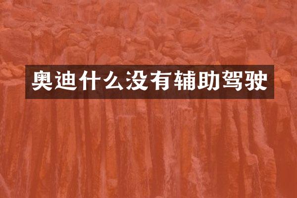 奥迪什么没有辅助驾驶