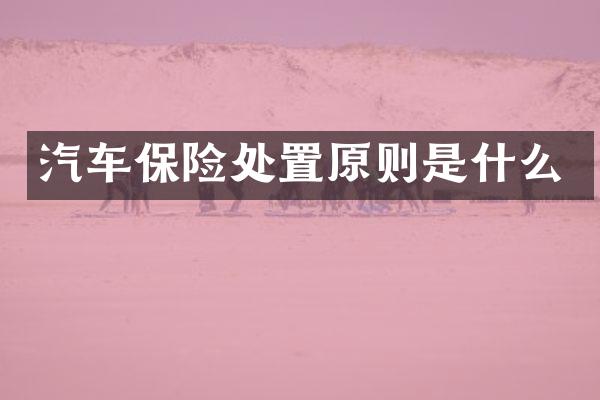 汽车保险处置原则是什么