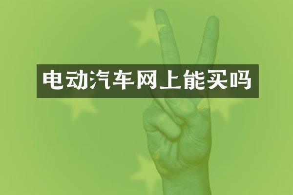 电动汽车网上能买吗