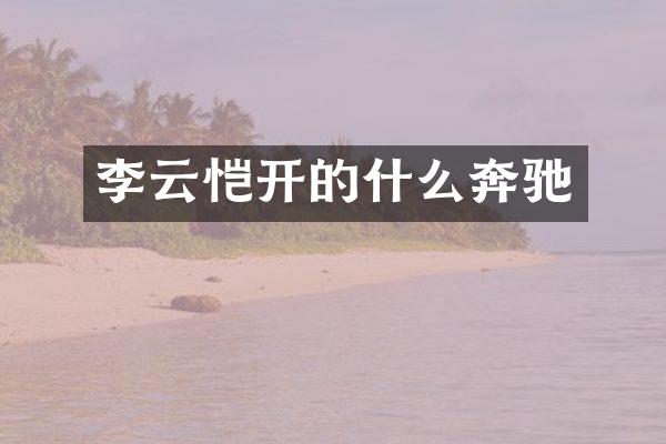 李云恺开的什么奔驰