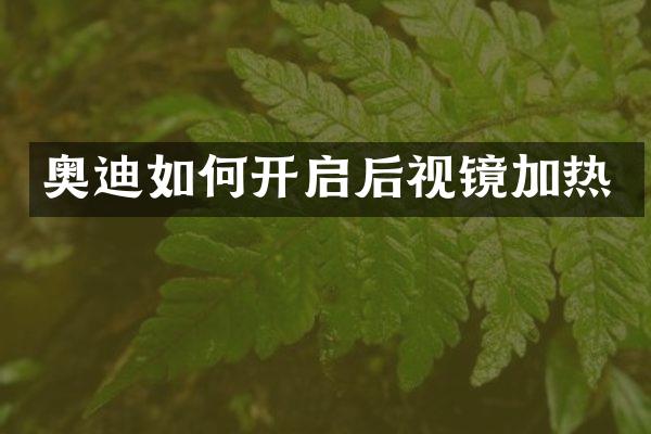 奥迪如何开启后视镜加热