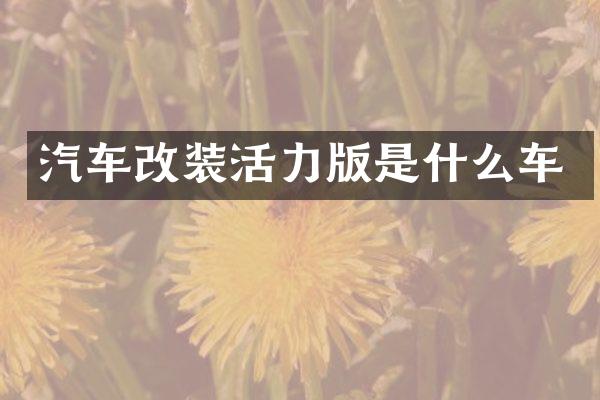 汽车改装活力版是什么车