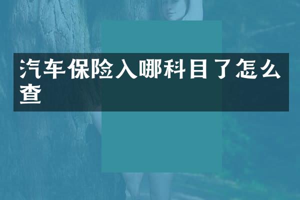 汽车保险入哪科目了怎么查