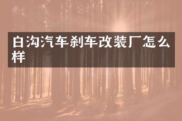 白沟汽车刹车改装厂怎么样