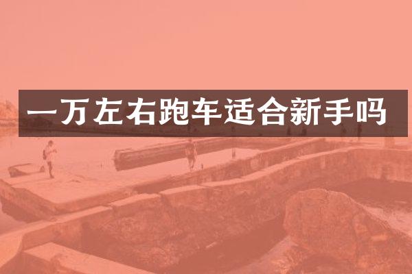 一万左右跑车适合新手吗