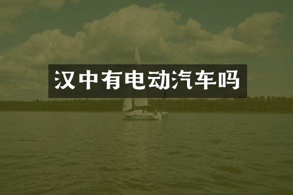 汉中有电动汽车吗