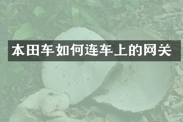 本田车如何连车上的网关