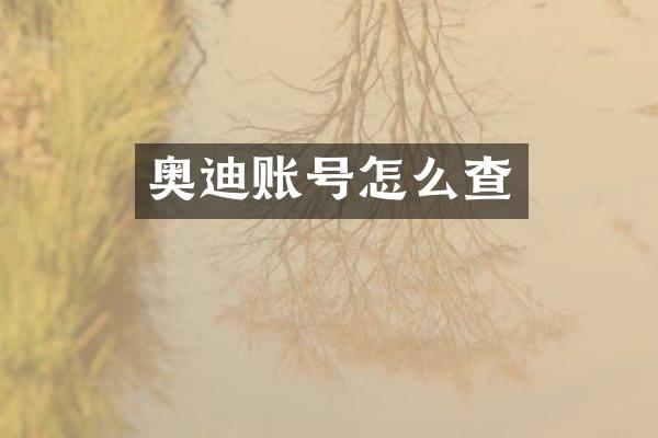 奥迪账号怎么查