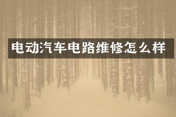 电动汽车电路维修怎么样