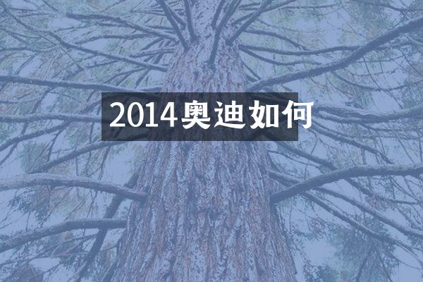 2014奥迪如何