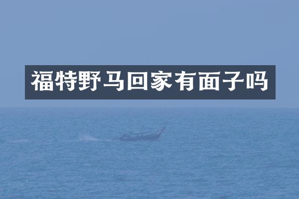福特野马回家有面子吗