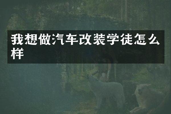 我想做汽车改装学徒怎么样