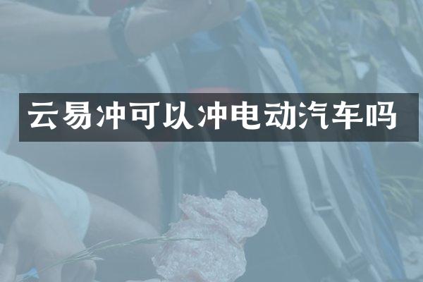云易冲可以冲电动汽车吗