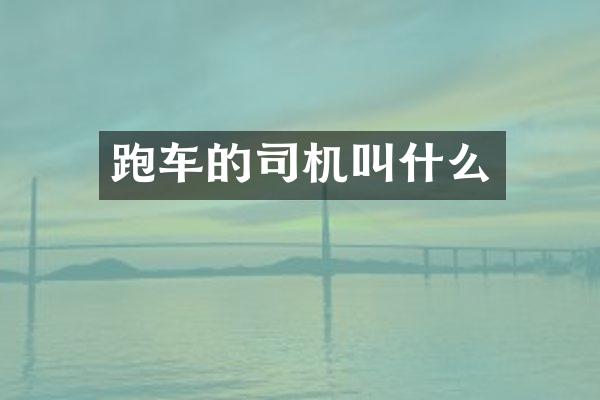 跑车的司机叫什么