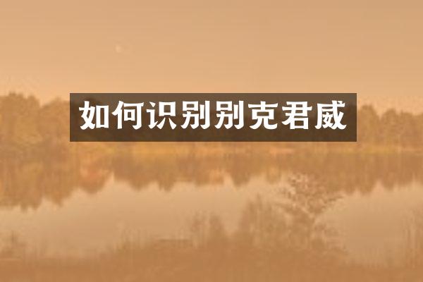 如何识别别克君威