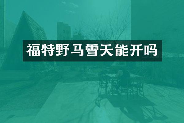 福特野马雪天能开吗