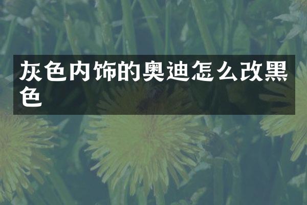 灰色内饰的奥迪怎么改黑色