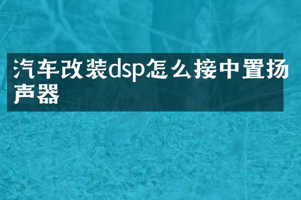 汽车改装dsp怎么接中置扬声器