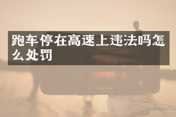 跑车停在高速上违法吗怎么处罚