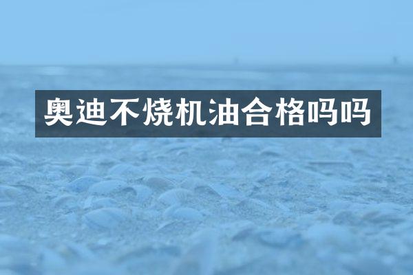 奥迪不烧机油合格吗吗