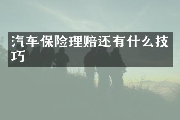 汽车保险理赔还有什么技巧