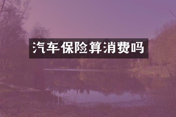 汽车保险算消费吗