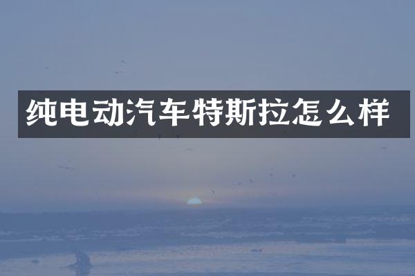 纯电动汽车特斯拉怎么样