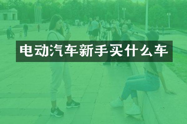 电动汽车新手车