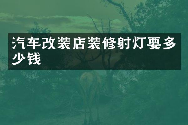 汽车改装店装修射灯要多少钱