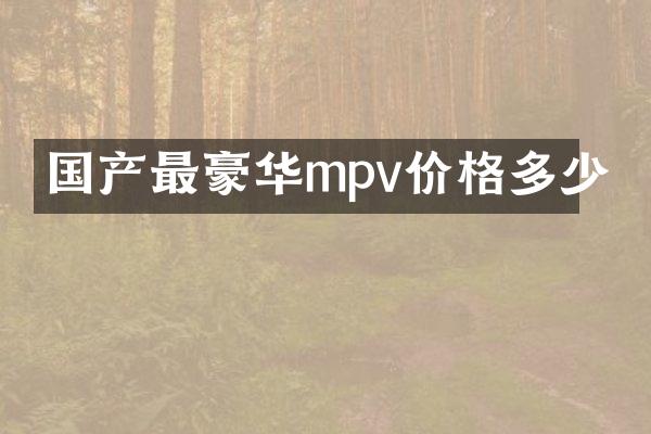 国产最豪华mpv价格多少