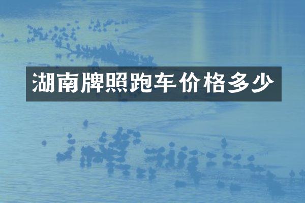 湖南牌照跑车价格多少