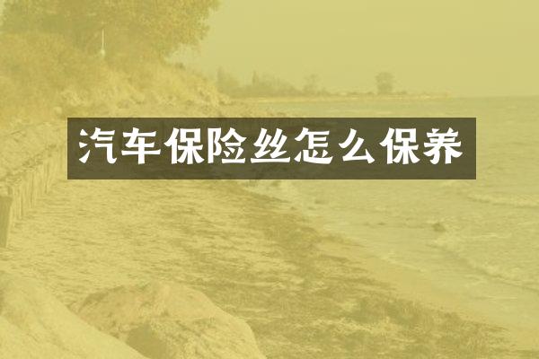 汽车保险丝怎么保养