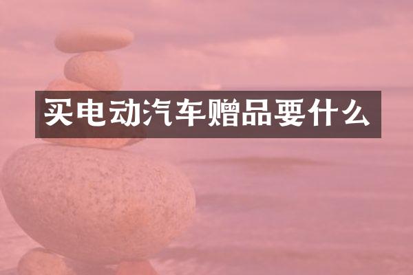 买电动汽车赠品要什么