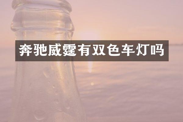 奔驰威霆有双色车灯吗