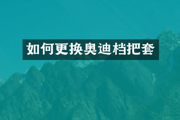 如何更换奥迪档把套